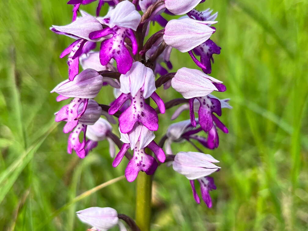 22-05-08 11-17-04 0767